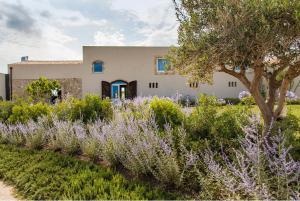 a house with lavender bushes in front of it at Scilla Maris Charming Suites in Marzamemi