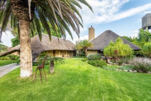 a house with a thatched roof and a yard with a palm tree at Frans Indongo Lodge in Otjiwarongo