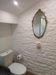 a bathroom with a toilet and a mirror on the wall at La Maison Verger in Limalonges