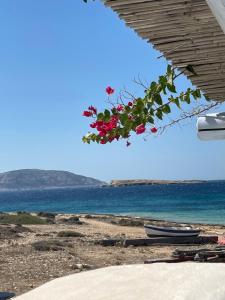 a bunch of flowers hanging from a building on the beach at Palio Karnagio Παλιό Καρνάγιο in Koufonisia