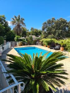 a swimming pool with a palm tree in front of it at L'Ensoleillade in Fréjus