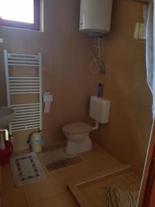 a small bathroom with a toilet and a sink at Tisza-Tavirózsa Vendégház in Tiszaszőlős +15 photos
