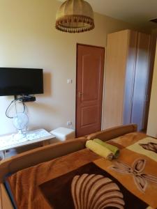 a bedroom with a bed with a desk and a computer at Tisza-Tavirózsa Vendégház in Tiszaszőlős