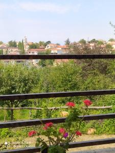 Uma varanda ou terraço em GUEST HOUSE DAVID