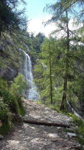 a waterfall in the middle of a forest with trees at Landhaus Gruber Sommer in Sankt Johann im Pongau +12 photos