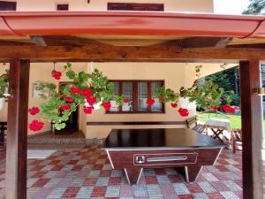 uma mesa de bilhar num pátio com flores em Pensiunea Mariana em Bran