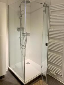 a shower stall with a glass door in a bathroom at 4-Studios in Cölbe