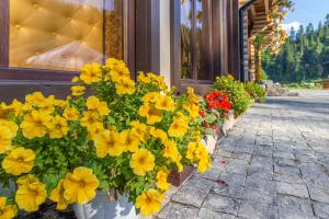 Giardino di Guest House Turda