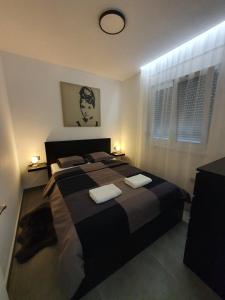 1 dormitorio con 1 cama grande y 2 almohadas en KoVeL apartmani - Termalna Rivijera, en Bogatić
