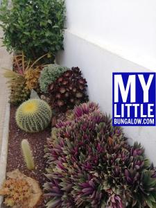 A garden outside My Little Bungalow