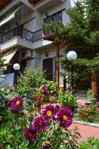 un jardin fleuri en face d'une maison ornée de fleurs violettes dans l'établissement Manos Kritikakis Apartments, à Platamonas