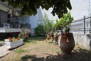 A garden outside Manos Kritikakis Apartments