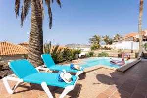 dwa niebieskie krzesła i basen z łabędzami w obiekcie Casa Platano - Private pool - Ocean View - BBQ - Garden - Terrace - Free Wifi - Child & Pet-Friendly - 4 bedrooms - 8 people w mieście Poris de Abona