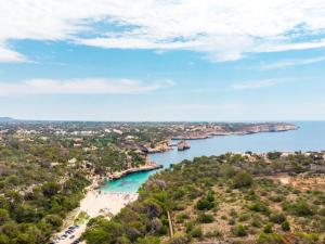 Táj Show holiday homes közelében