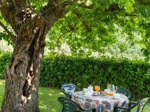 einen Tisch und Stühle unter einem Baum in der Unterkunft Apartment Vigna La Corte-5 by Interhome in Dicomano