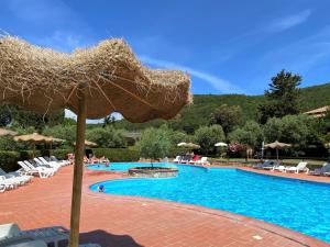 una grande piscina con sedie e ombrelloni di Apartment Farfalla by Interhome a Riparbella