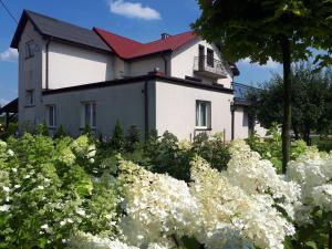 Zahrada ubytování Willa Aida