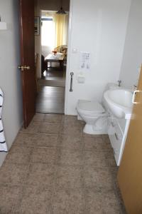 a bathroom with a toilet and a sink at Studlagil Canyon Accommodation in Grund