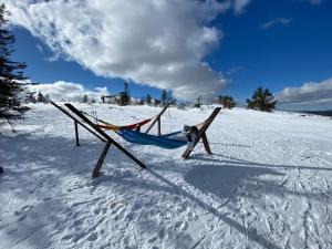 サッラにあるVilla Kuukkeliの雪に一組のスキーが横たわっている
