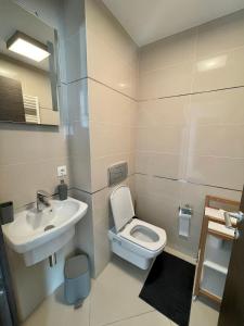 a bathroom with a toilet and a sink at Luxury Silver Mountain Apartment in Poiana Brasov +25 photos