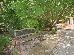 Un banco del parque y un perro de pie junto a un árbol. en Apartment Marija by Interhome, en Supetar