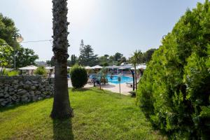 eine Palme im Garten mit Pool in der Unterkunft Hotel Santa Lucia in Santa Cesarea Terme