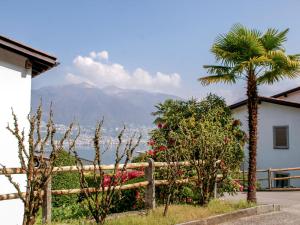 a fence with a palm tree and a view of the water at Apartment Residenza Miralago Apt-A10 by Interhome in Piazzogna +24 photos