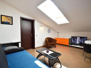 Gallery image of Apartment Tihomir-4 by Interhome in Veprinac