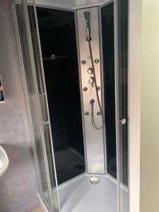 een douche met een glazen deur in de badkamer bij A l'orée du Bois in Landelies