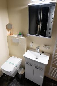 a bathroom with a toilet and a sink and a mirror at Penzión Deloris in Trenčín