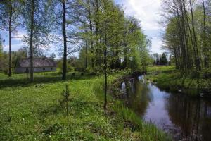 ein Fluss auf einem Feld mit einem Gebäude im Hintergrund in der Unterkunft Sepa Jõe Holiday Home in Riksu