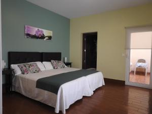 um quarto com uma cama grande e uma janela em Habitaciones Amelia em Alicante