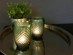 two glass vases sitting on a table with a plant at GNAU Rent Jürgen Gnau in Cölbe