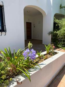 a flower garden in front of a building at Alto Club Apartments in Alvor