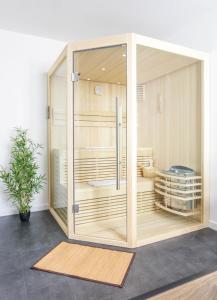 Pontavert的住宿－Suite Spa Privatif，玻璃淋浴间,有盆栽的房间里