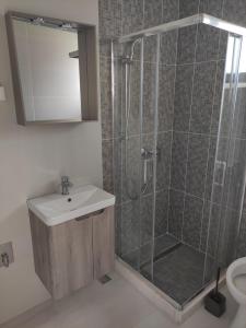 a bathroom with a shower with a sink and a mirror at Apartments Markovi Konaci in Trebinje
