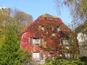 Zahrada ubytování B&B de charme La Maison des 5 Temps