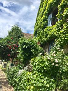 Zahrada ubytování B&B de charme La Maison des 5 Temps