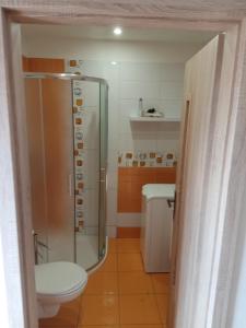 a bathroom with a shower and a toilet in it at Apartmán pod kostelem in Strážov