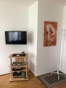 TV/Unterhaltungsangebot in der Unterkunft Aventur Studio 212 Am Rotharrsteig