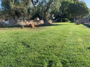 Aed väljaspool majutusasutust Trulli Santa Maria Odegitria Relais