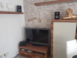 TV de pantalla plana en un soporte de madera con altavoces en Ferienhaus auf Rügen, en Gingst