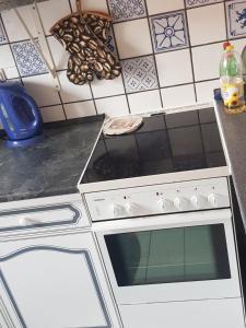 Kuchyň nebo kuchyňský kout v ubytování Ferienhaus auf Rügen