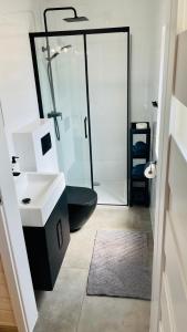 een badkamer met een toilet, een wastafel en een douche bij Czerwony Domek in Sasino