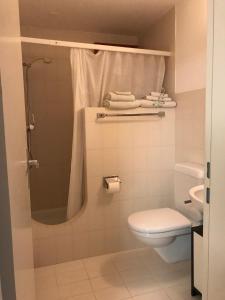 a bathroom with a shower and a toilet and towels at Casa Vignole-Badasci in Orselina