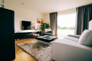 a living room with a couch and a tv at VILLA MONTANA in Geraardsbergen