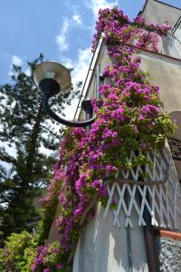 a balcony filled with purple flowers on a building at Casa Vacanze Bouganvillea in Cetara