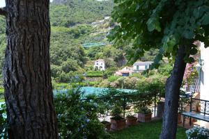 a view from the garden between two trees at Casa Vacanze Bouganvillea in Cetara
