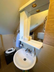 a bathroom with a sink and a mirror and a toilet at Vikendica Kostic in Zlatibor