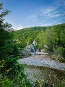a bridge over a river with rocks and trees at Vikendica Kostic in Zlatibor
